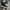 Converse Allstar Hi Black White photo 4
