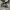Converse Allstar Hi Black White photo 1