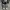 Converse Allstar Hi Black White photo 5
