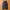 Uniqlo Japan Parachute Cargo Wide Pants