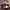 Dickies 874 icons regular Maroon photo 3