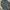 Dickies 874 Regular Lincoln green photo 1