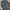 Dickies 874 Regular Lincoln Green