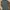 Dickies 874 Regular Lincoln Green
