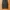Dazy By Shein Parachute Cargo Pants