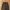 Dazy by shein parachute cargo pants photo 3