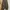 CAMO CARGO BALLOON PANTS photo 6