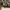 CAMO CARGO BALLOON PANTS photo 4