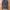 Lizard Standard Cargo Wide Pants