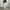 CARGO BALLOON PANTS  photo 2