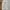 CARGO BALLOON PANTS  photo 7