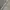 Carhartt Streetwear Casual Hoody Pria gray photo 5