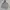 Carhartt Streetwear Casual Hoody Pria gray photo 1