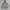 Carhartt Streetwear Casual Hoody Pria Gray