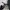 Carhartt Casual Bag Pria black photo 4