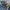 Carhartt Vintage Casual Jeans Pria navy blue photo 7