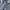 WINDBREAKER DCSHOES SPELLOUT USA photo 3