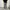 EVENRIVER CARGO JEANS PANTS photo 1