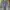 EVENRIVER CARGO JEANS PANTS photo 4