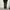 GU UNIQLO BAGGY CARGO PANTS