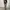 CONVERSE CARGO PANTS photo 2