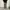 CONVERSE CARGO PANTS photo 1