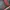 TRACTOP FUBU SPELLOUT  photo 6