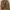 PRADA MILANO Brown Coat Premium photo 7