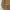 PRADA MILANO Brown Coat Premium photo 4
