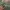 BAGGY ARMY GREEN CARGO PANTS photo 4