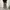 BAGGY ARMY GREEN CARGO PANTS photo 1