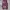 Vintage Hippie/Boho Style Long Pants photo 1