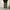 GU SUPERWIDE CARGO PANTS photo 1
