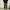 GU SUPERWIDE CARGO PANTS