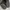 Yeezy Streetwear Avant Garde Sneakers Pria black photo 5