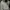 Women’s scoop front neck button knitted Top  photo 2