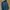 LOGO JEANS photo 2