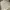 one set  photo 5