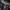 Columbia Gorpcore Windbreaker Pria black photo 6