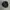 Flat Cap Kangol Original - Baret Kangol - Kangol Second