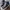 Converse Chuck Taylor All Star High x Play Comme des Garcons photo 3