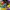 Colorfull Abstract Top photo 3