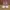 Casual Sneakers Kids multicolor photo 2