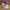 Casual Sneakers Kids multicolor photo 1