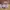 Casual Sneakers Kids multicolor photo 6