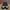 Casual Sneakers Kids white black photo 2