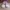 Casual Sneakers Kids multicolor photo 2