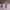 Casual Sneakers Kids multicolor photo 4