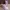 Casual Sneakers Kids multicolor photo 1