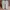 Casual Sneakers Kids multicolor photo 5